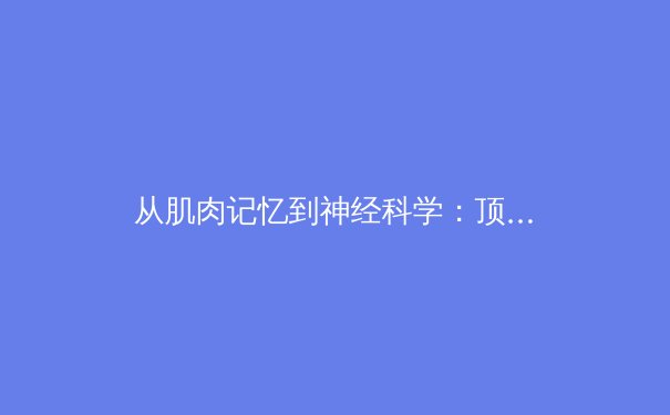 从肌肉记忆到神经科学：顶尖运动员如何通过大脑训练突破极限